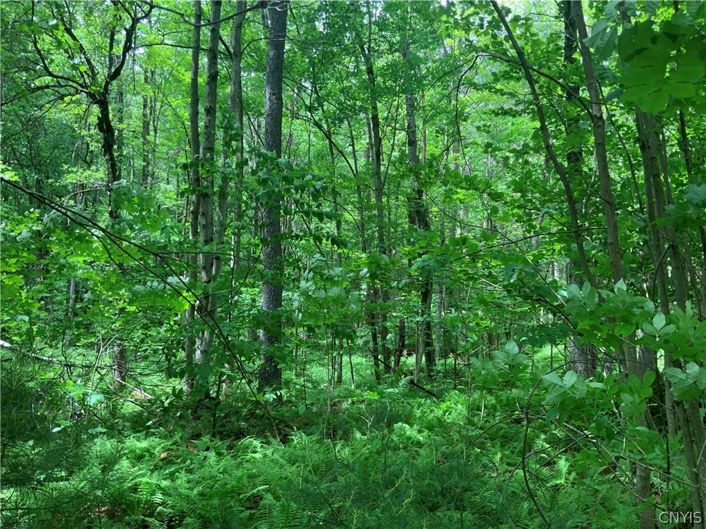 0 North Hillsboro Road Camden, NY 13316 - Photo 12 of 31