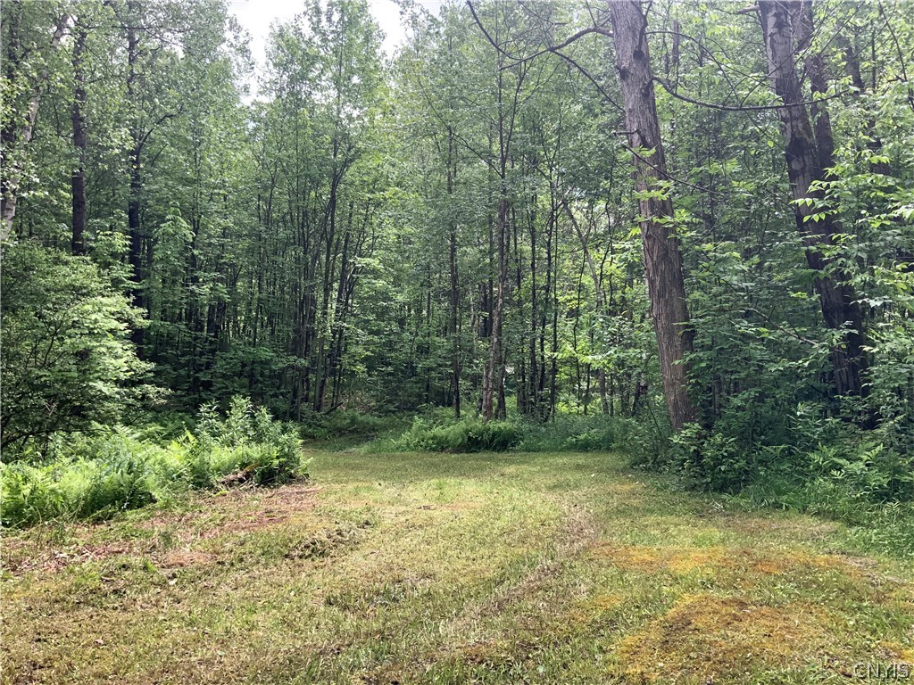 0 North Hillsboro Road Camden, NY 13316 - Photo 13 of 31