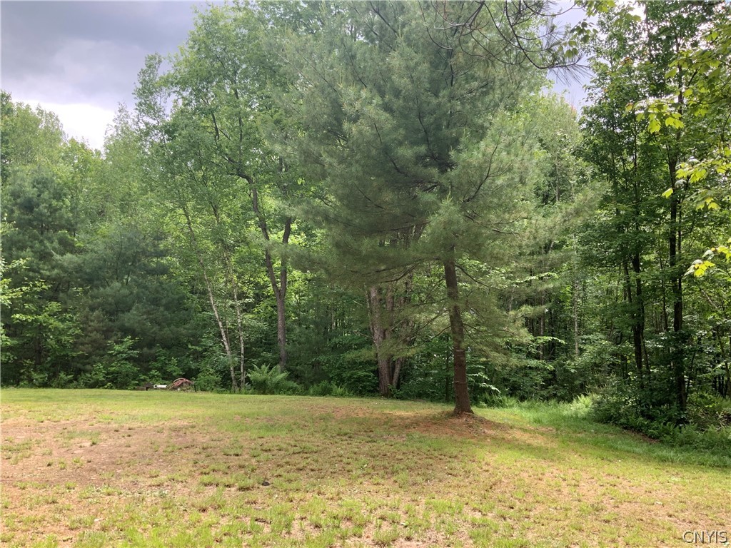 0 North Hillsboro Road Camden, NY 13316 - Photo 15 of 31