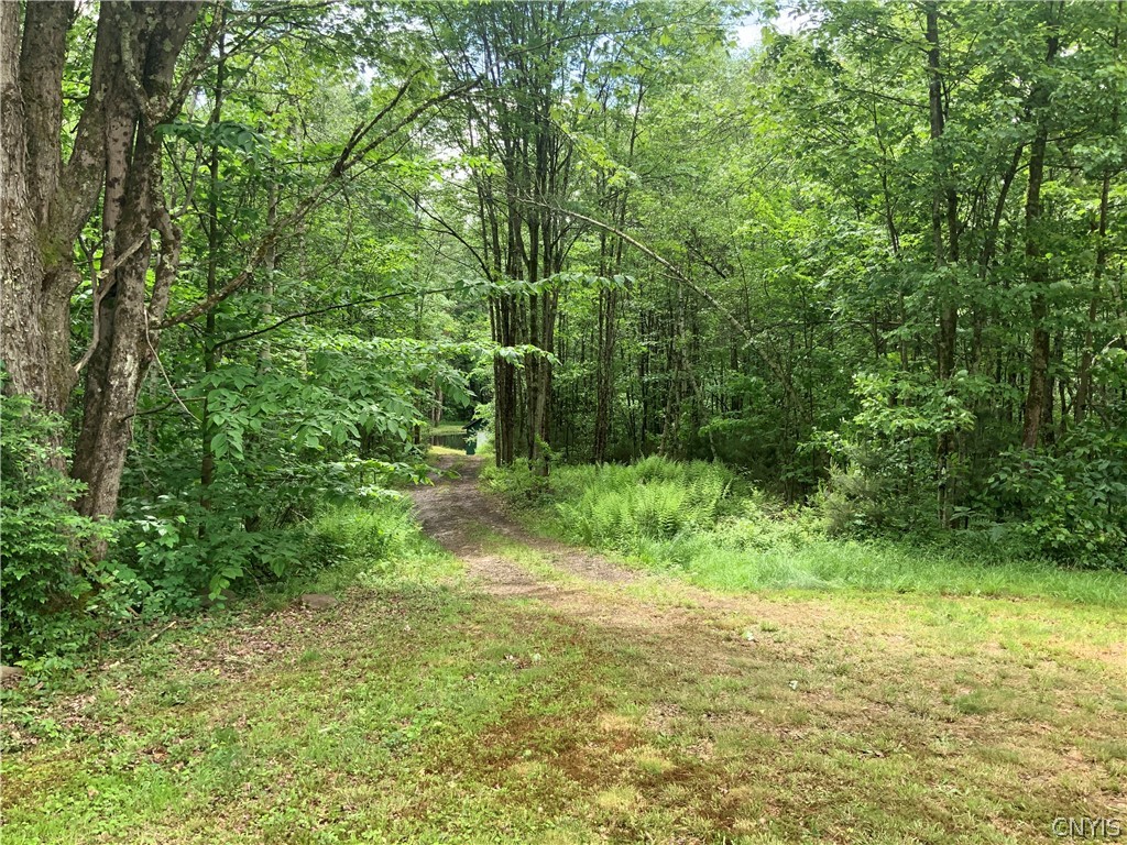 0 North Hillsboro Road Camden, NY 13316 - Photo 19 of 31