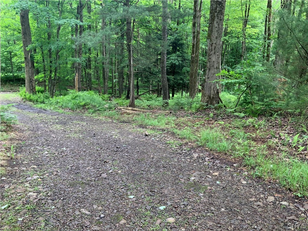 0 North Hillsboro Road Camden, NY 13316 - Photo 21 of 31