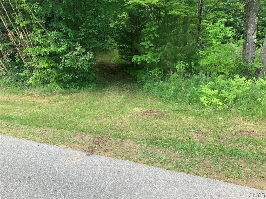 0 North Hillsboro Road Camden, NY 13316 - Photo 25 of 31