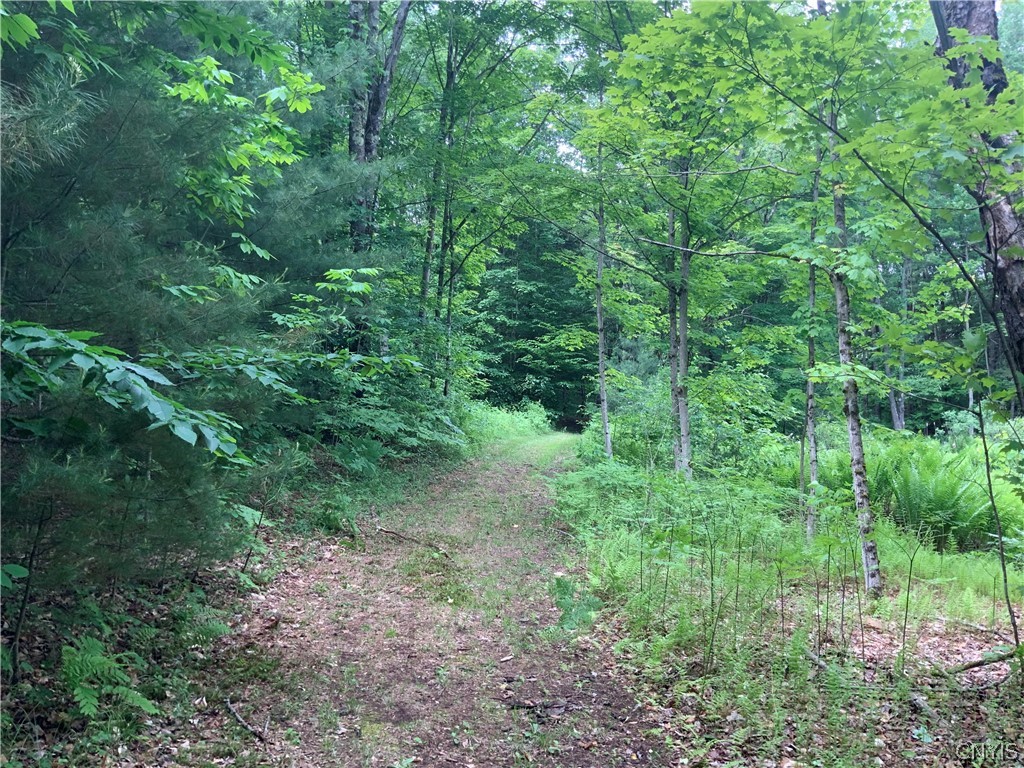 0 North Hillsboro Road Camden, NY 13316 - Photo 26 of 31