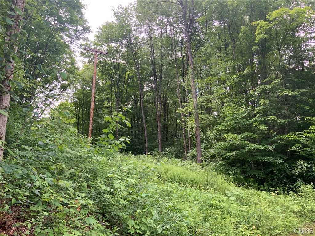 0 North Hillsboro Road Camden, NY 13316 - Photo 27 of 31