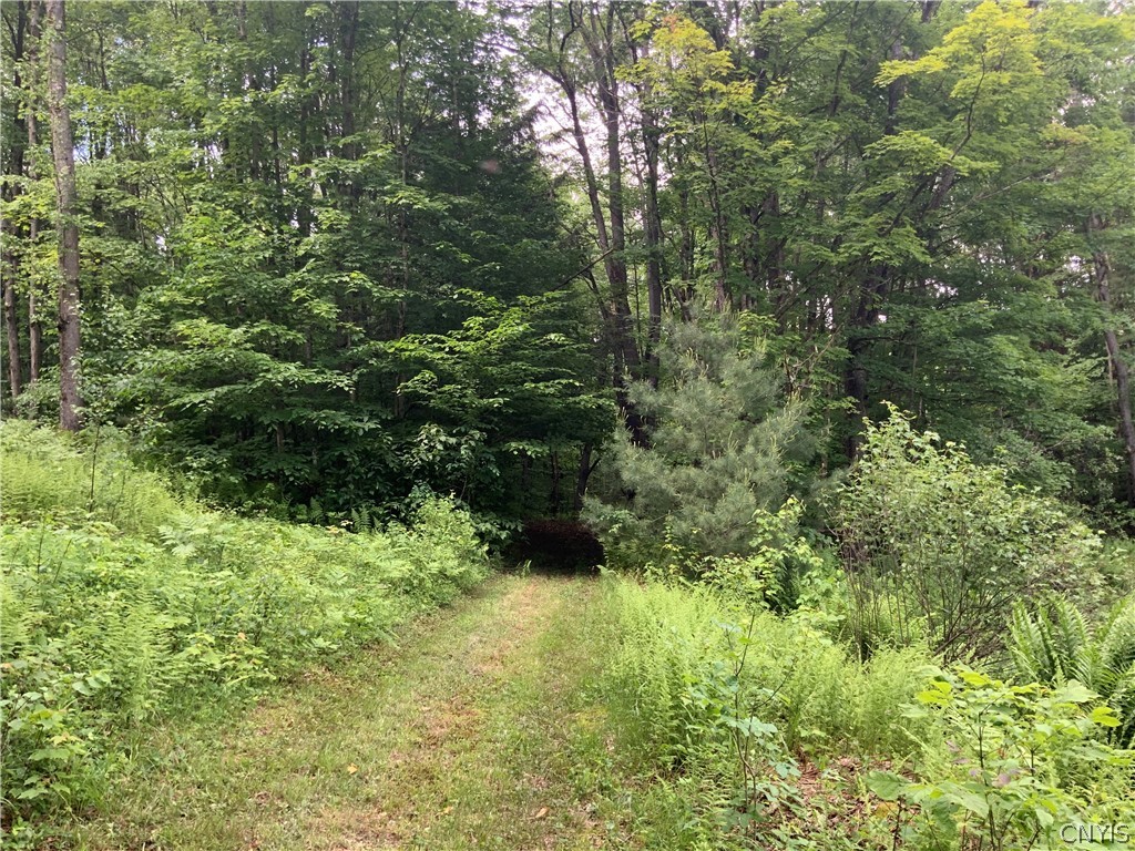 0 North Hillsboro Road Camden, NY 13316 - Photo 28 of 31