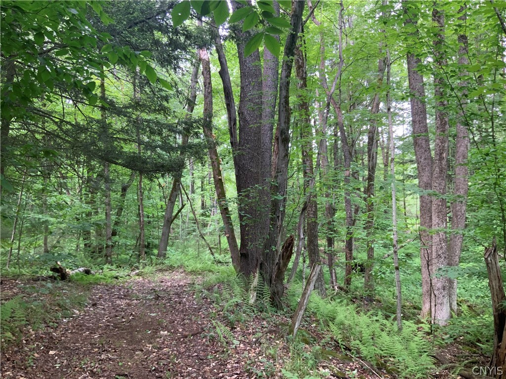 0 North Hillsboro Road Camden, NY 13316 - Photo 29 of 31