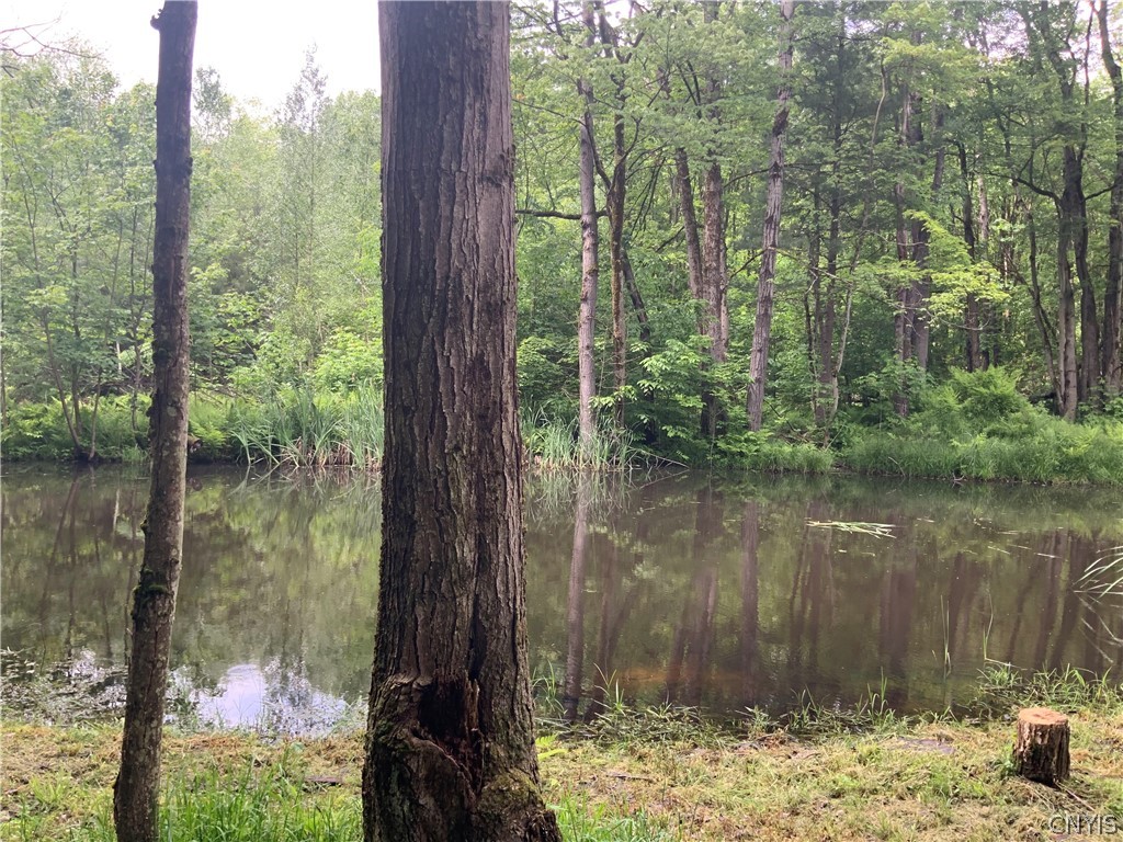 0 North Hillsboro Road Camden, NY 13316 - Photo 3 of 31