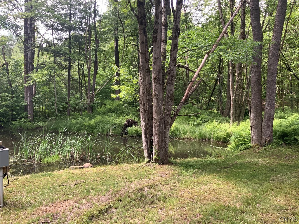 0 North Hillsboro Road Camden, NY 13316 - Photo 7 of 31