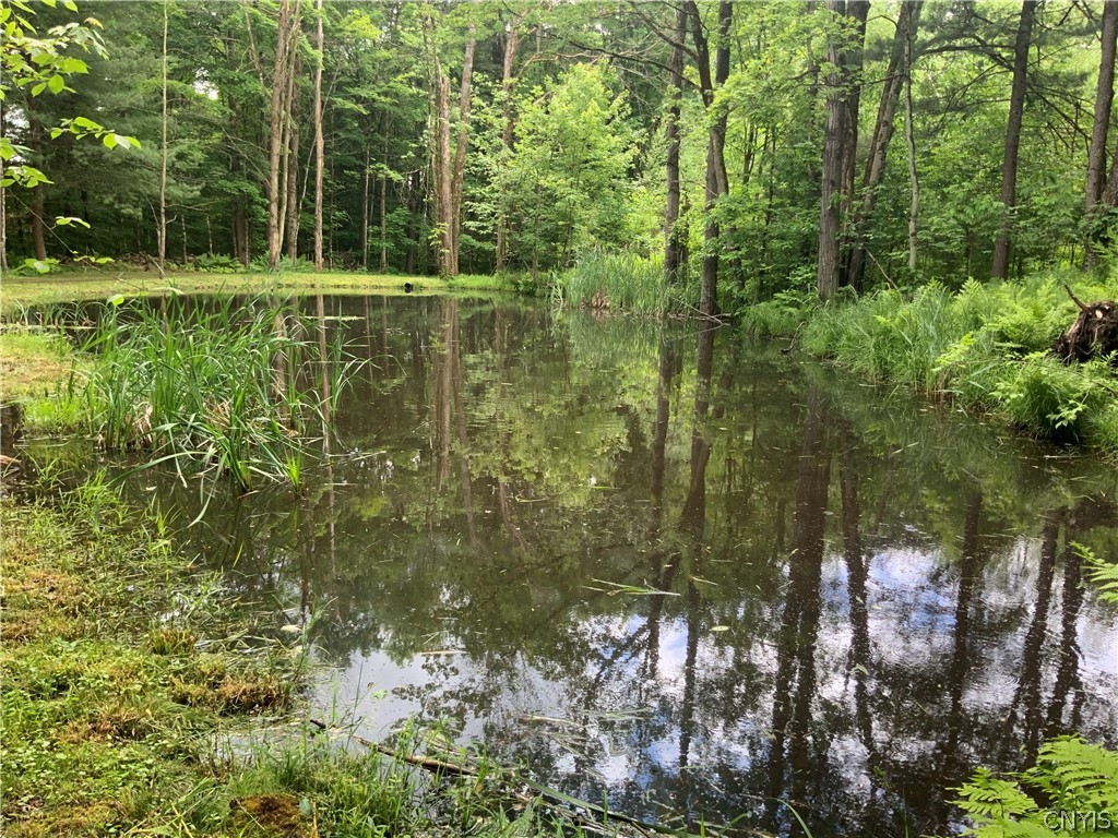 0 North Hillsboro Road Camden, NY 13316 - Photo 9 of 31