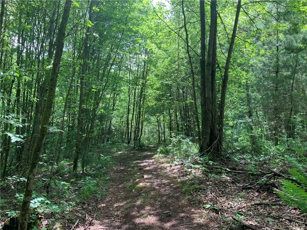 0 North Hillsboro Road Camden, NY 13316 - Photo 10 of 31