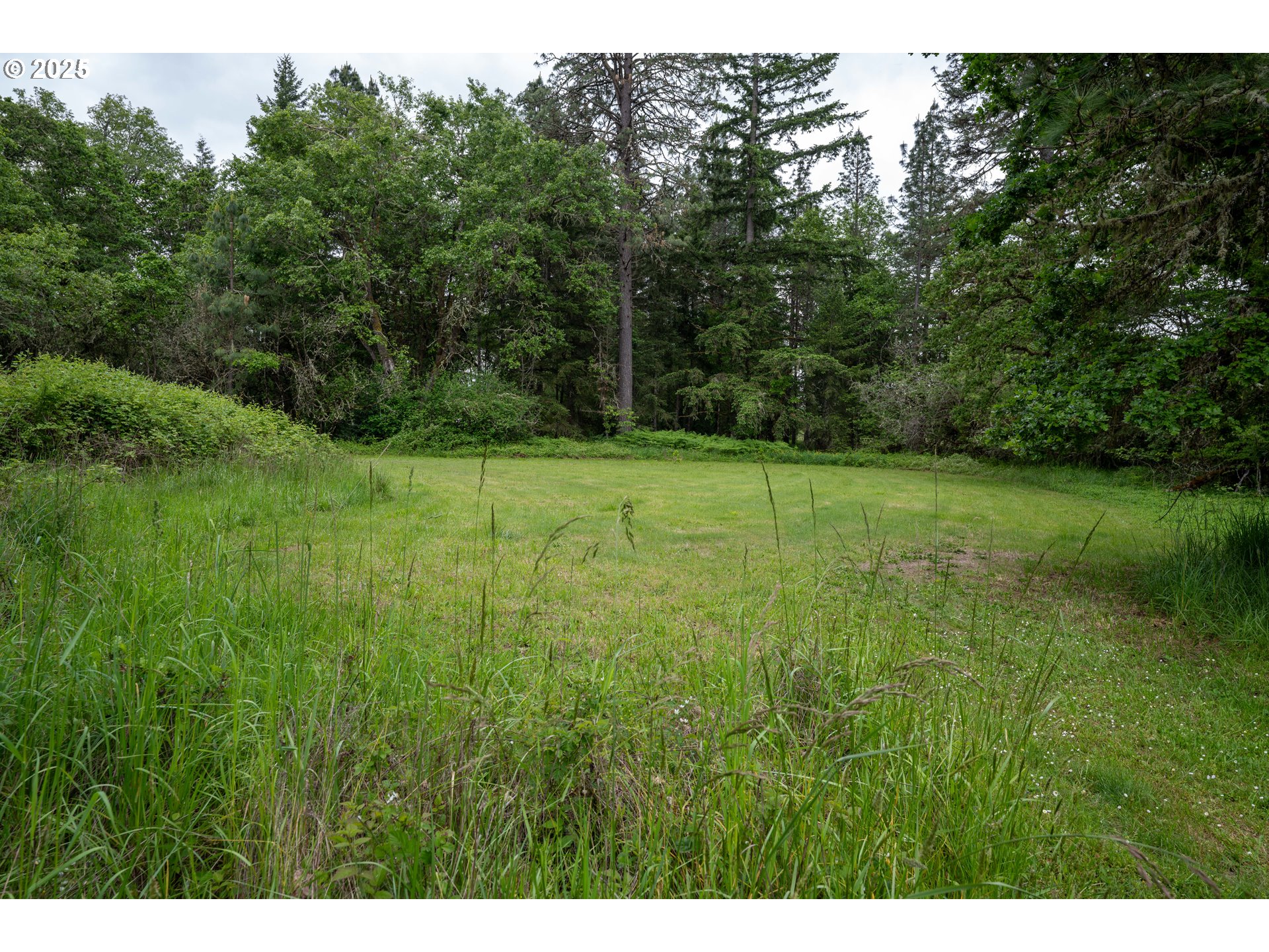 87554 Miller Road Veneta, OR 97487 - Photo 42 of 48