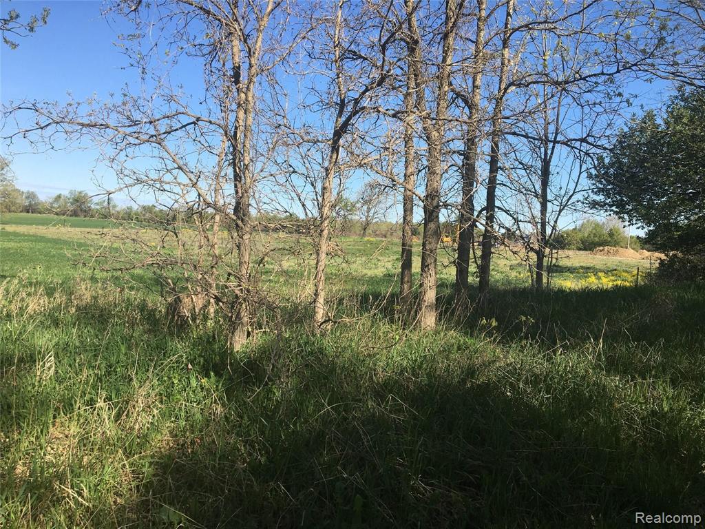 1 Bishop Road Dryden, MI 48428 - Photo 1 of 1