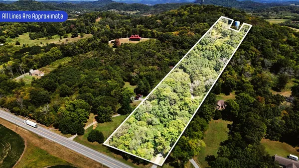 a view of swimming pool with a garden and plants