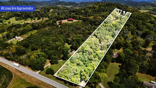 a view of swimming pool with a garden and plants
