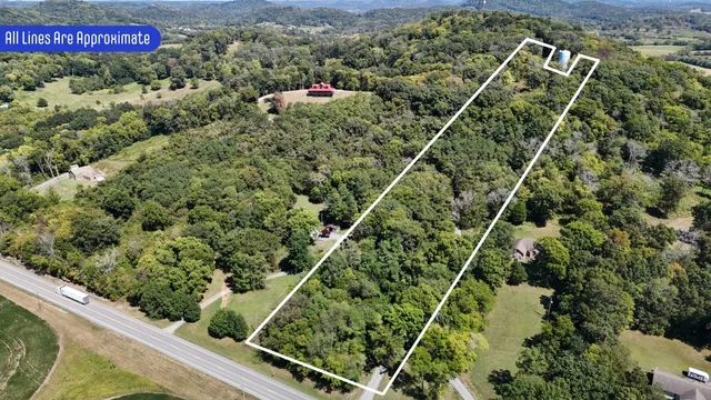 a view of a green field with lots of bushes