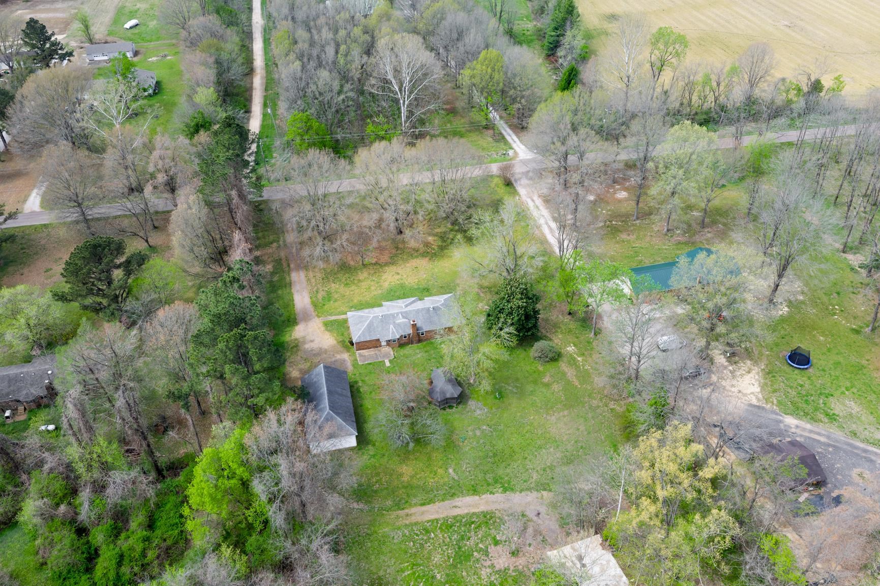 8292 Rankin Branch Road Millington, TN 38053 - Photo 32 of 33 a view of a yard with plants and large trees