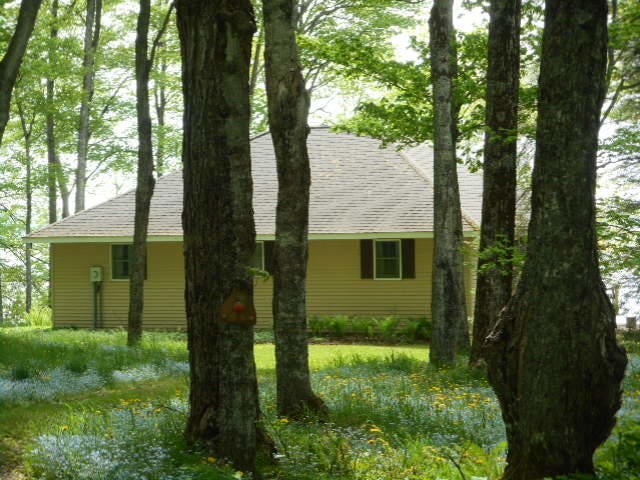 W19003 East Needle Pointe Road Germfask, MI 49836 - Photo 19 of 40 Gallery Image 19