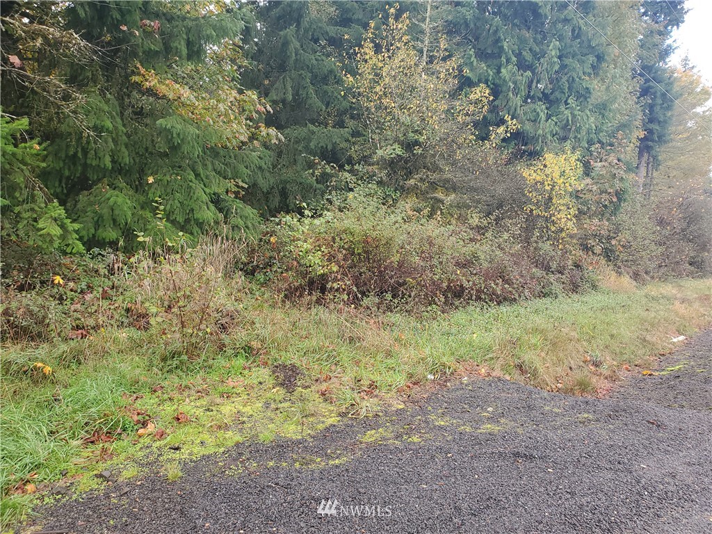 297 Avery Road West Winlock, WA 98596 - Photo 1 of 1