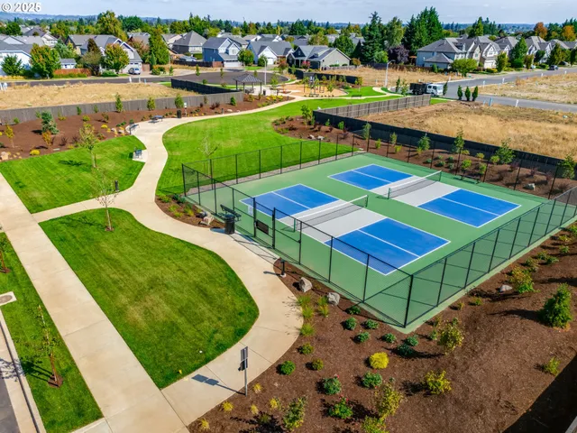 a aerial view of a tennis ground with large trees