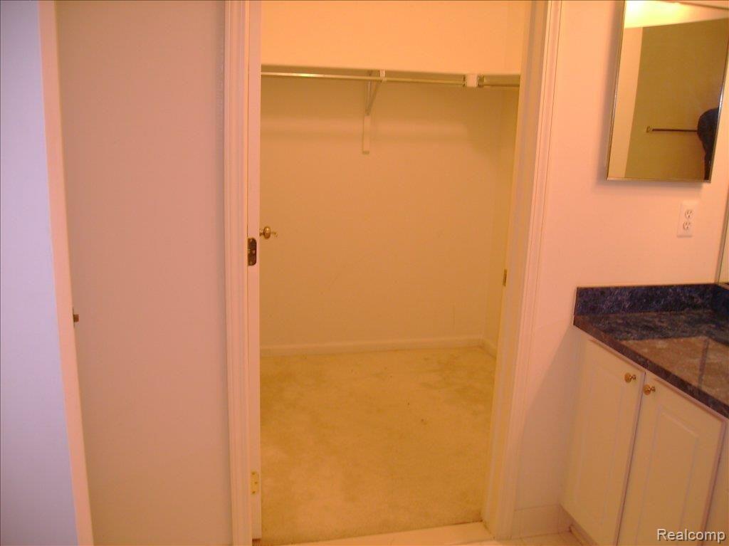 11872 Farmington Road Livonia, MI 48150 - Photo 8 of 15 Master Closet