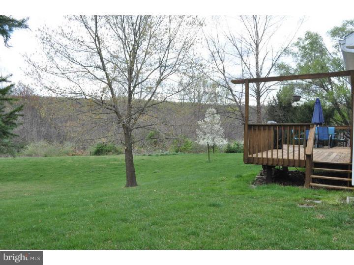 261 Spring Run Lane Downingtown, PA 19335 - Photo 19 of 25 Back Yard