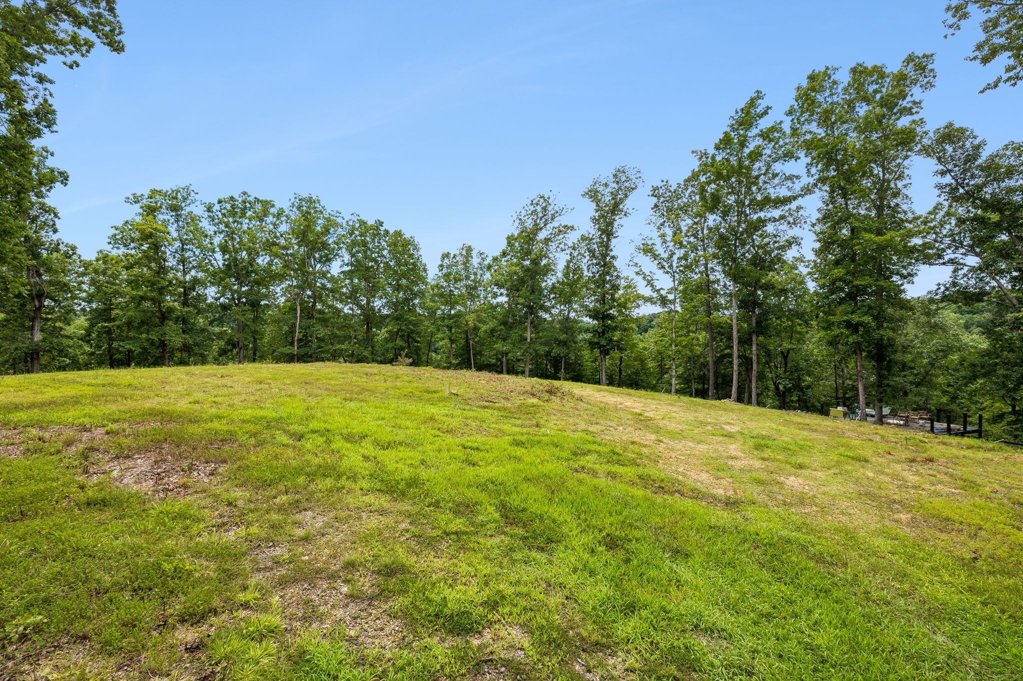 6017 Russell Ridge Lane Franklin, TN 37064 - Photo 7 of 13 Gallery Image 7