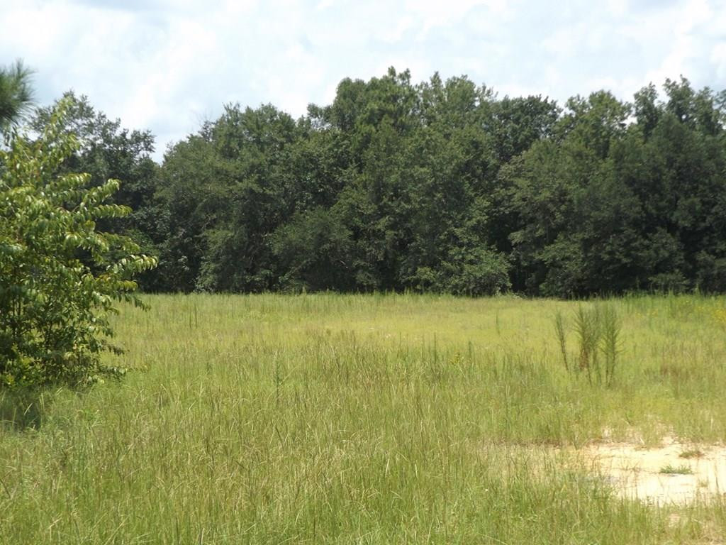 3497 State Rd S-6-29 Barnwell, SC 29812 - Photo 22 of 23