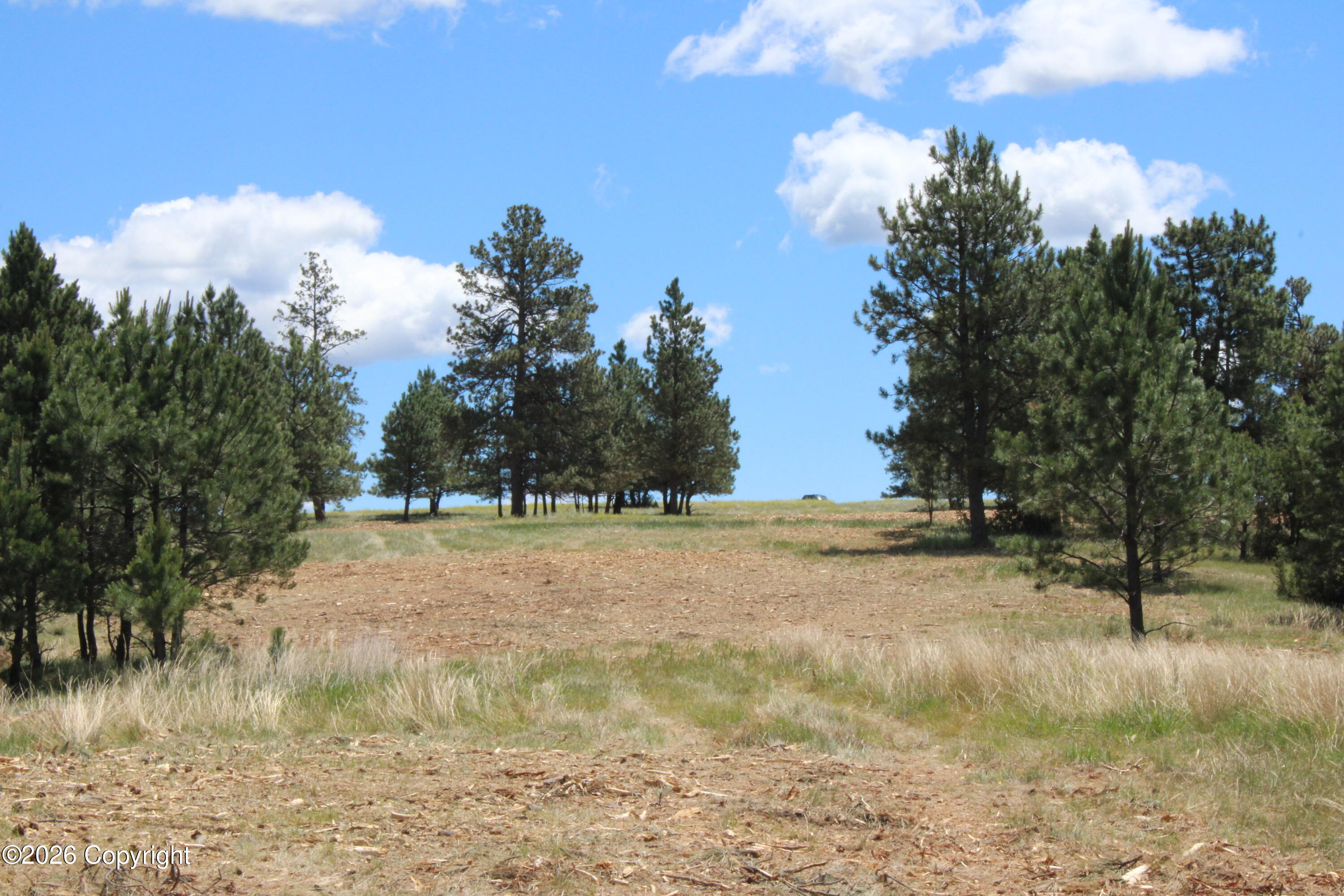 9 River Road Alva, WY 82711 - Photo 17 of 43 Gallery Image 17