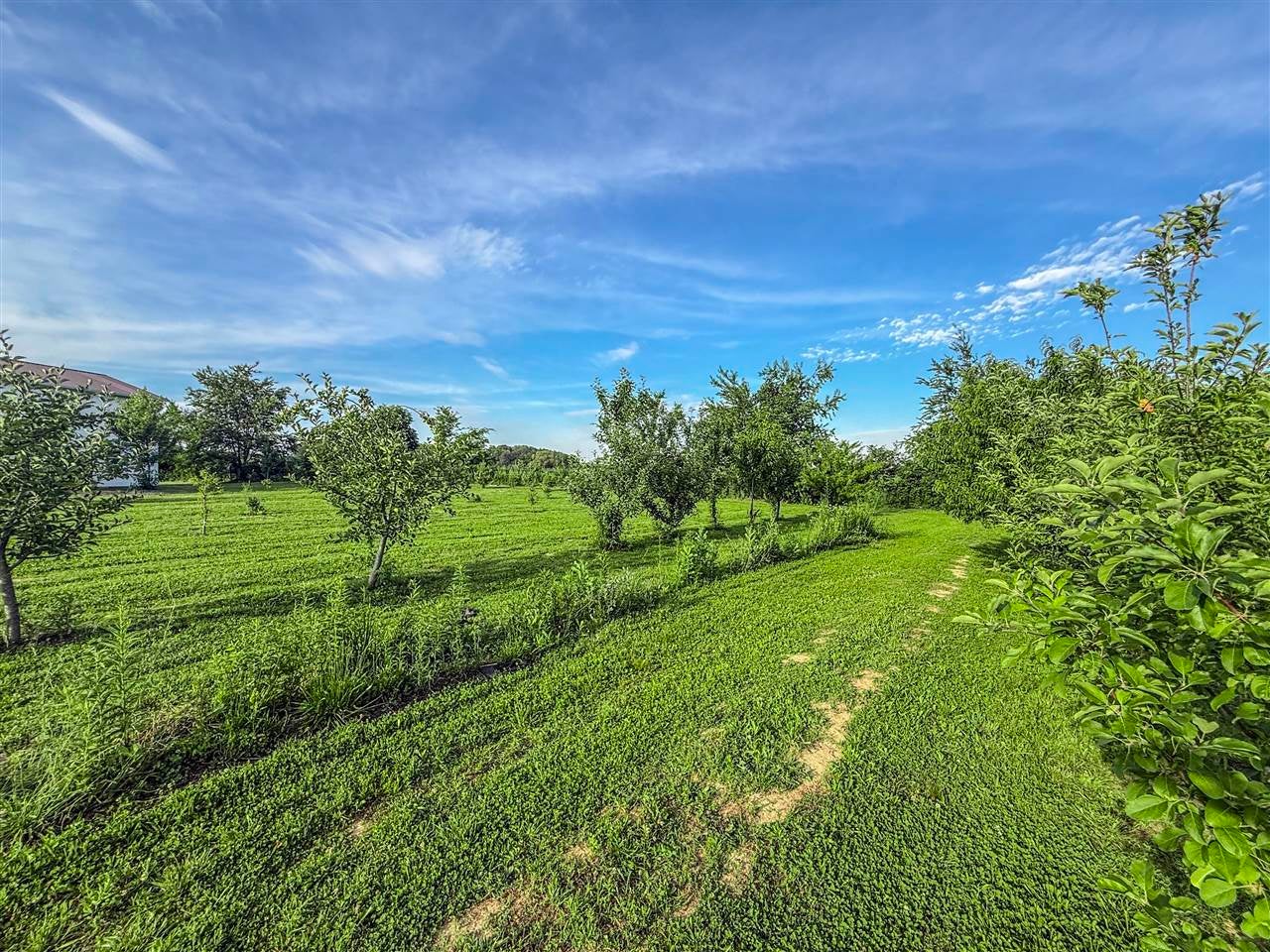 415 Billy London Road Center, KY 42214 - Photo 31 of 65 Gallery Image 31