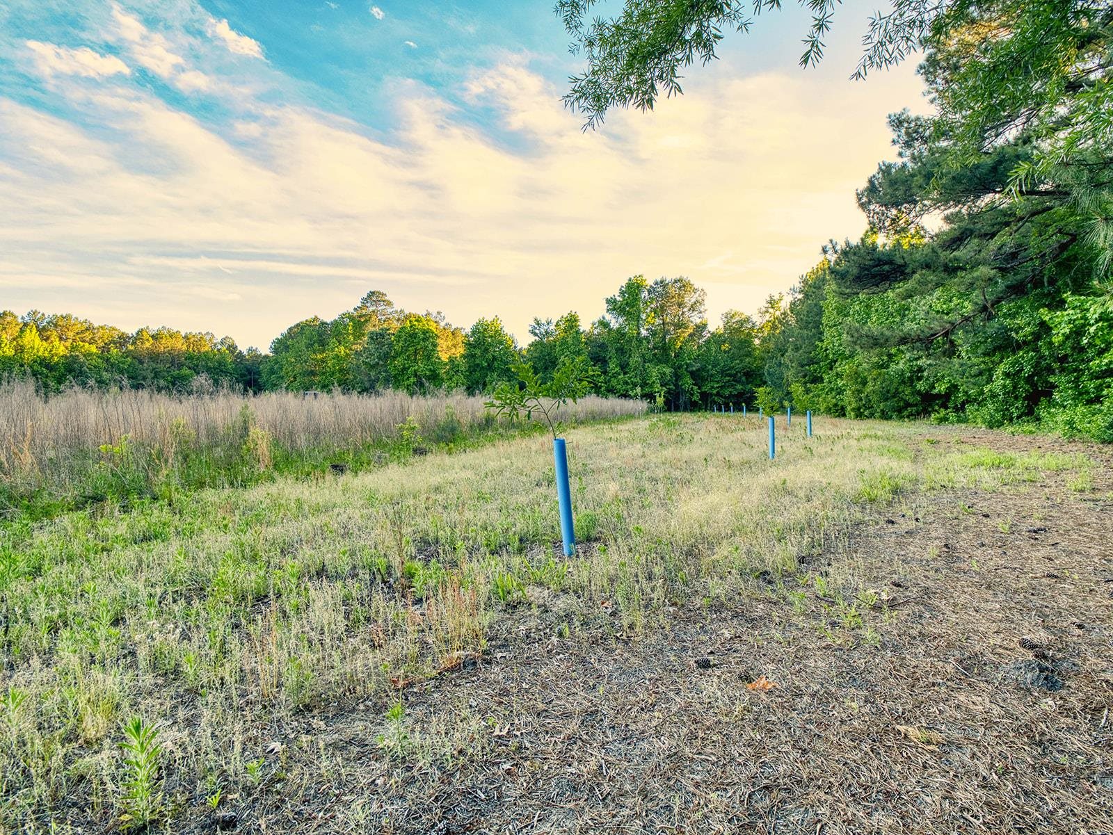 Tbd Tbd Chair Road Hemingway, SC 29554 - Photo 25 of 37