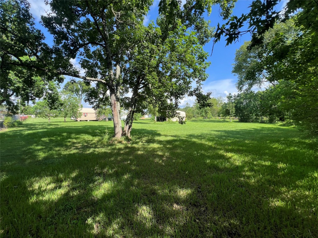 18504 Noyce Road Crosby, TX 77532 - Photo 2 of 24 a big yard with lots of green space and trees