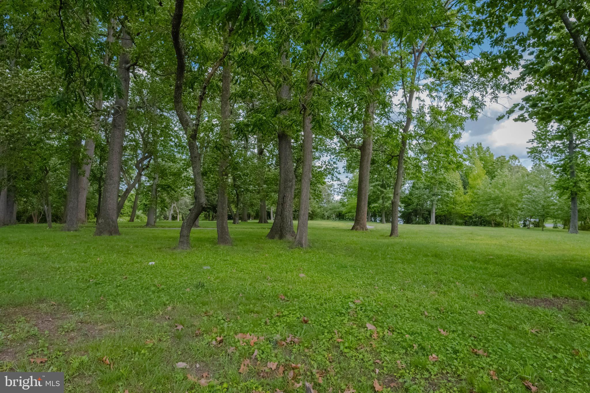 2256 Southorn Road Baltimore, MD 21220 - Photo 49 of 61 a view of a grassy field with trees in the background