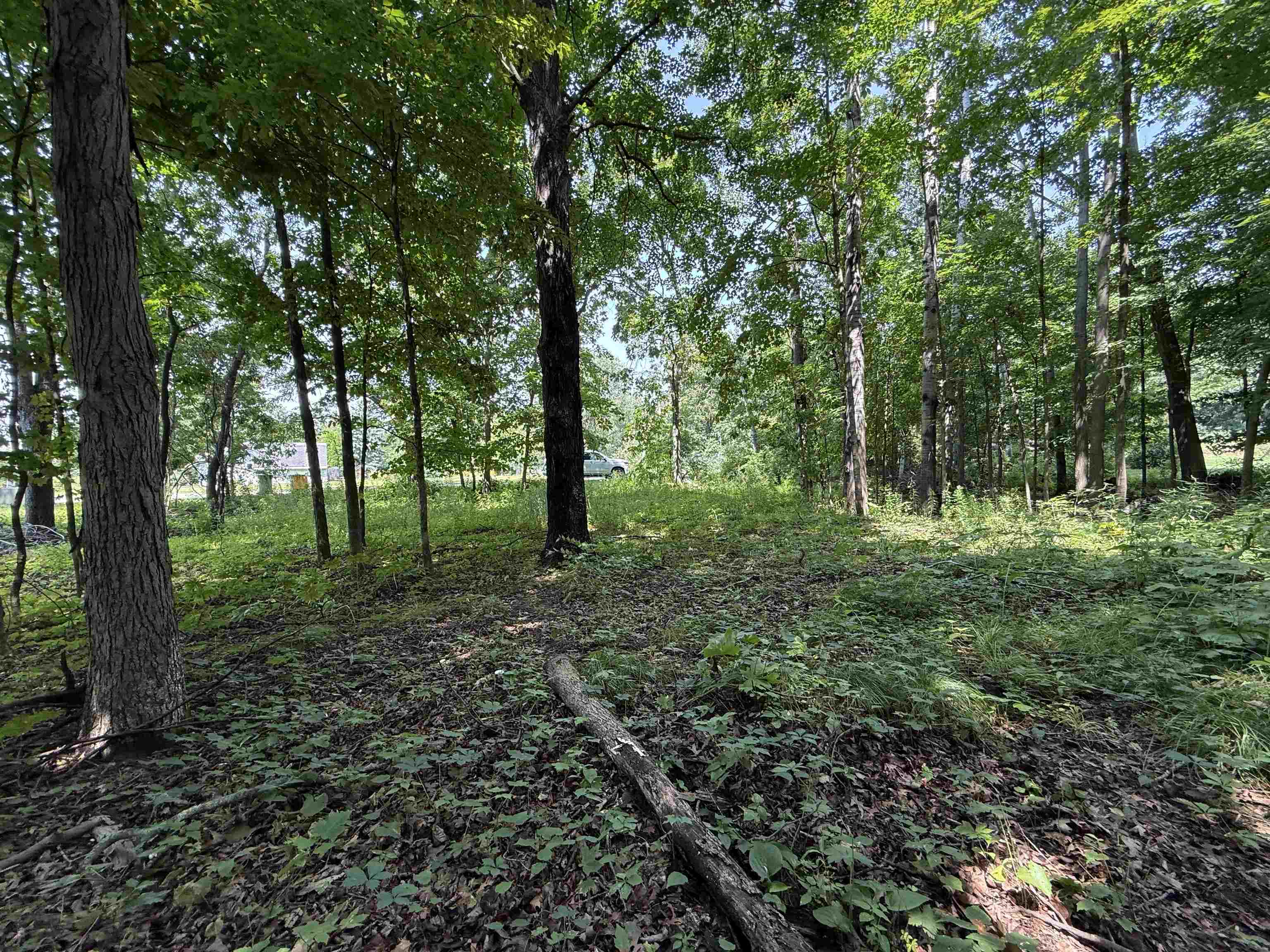 L52 Draper Street Baraboo, WI 53913 - Photo 2 of 6