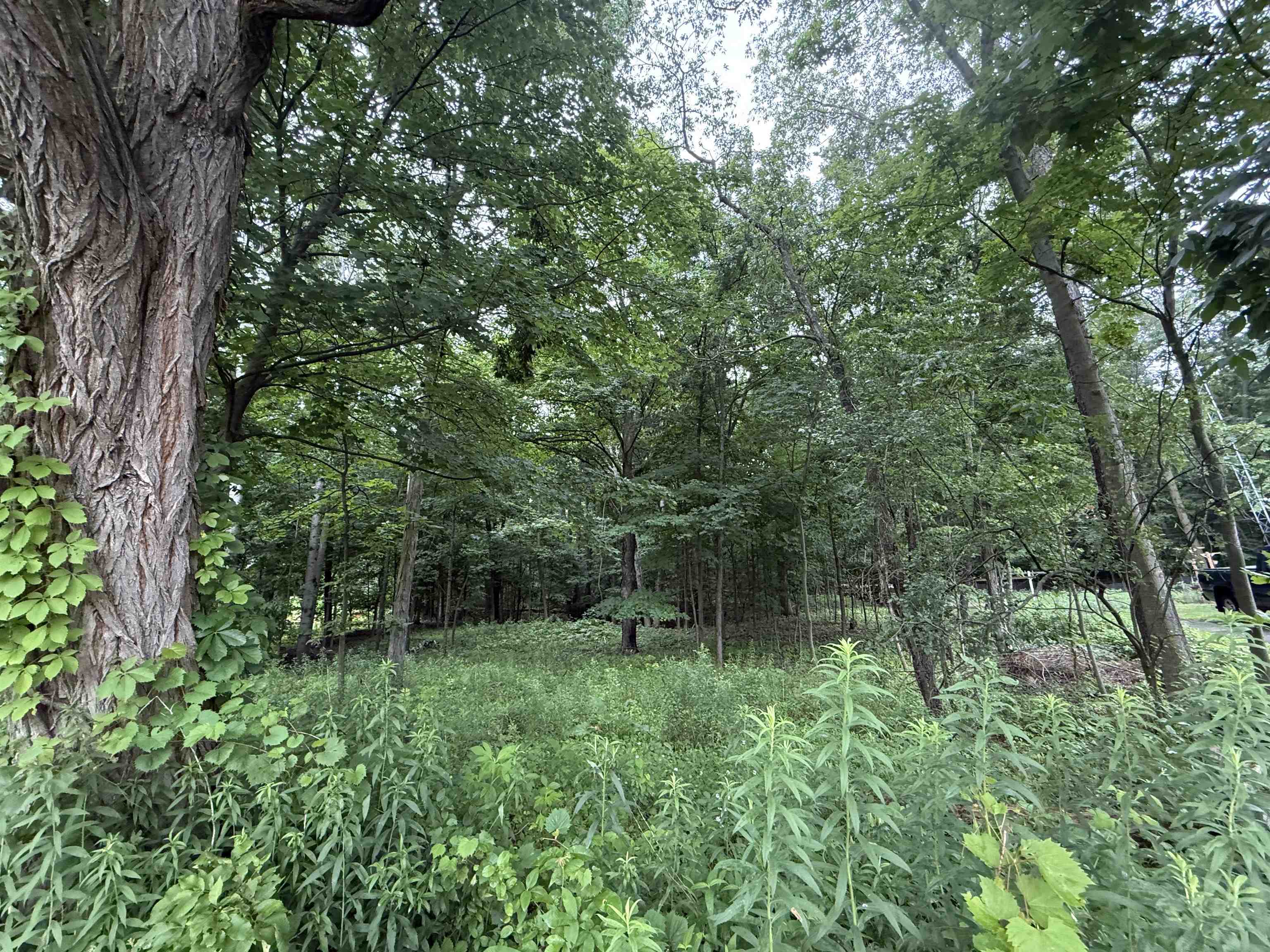 L52 Draper Street Baraboo, WI 53913 - Photo 4 of 6