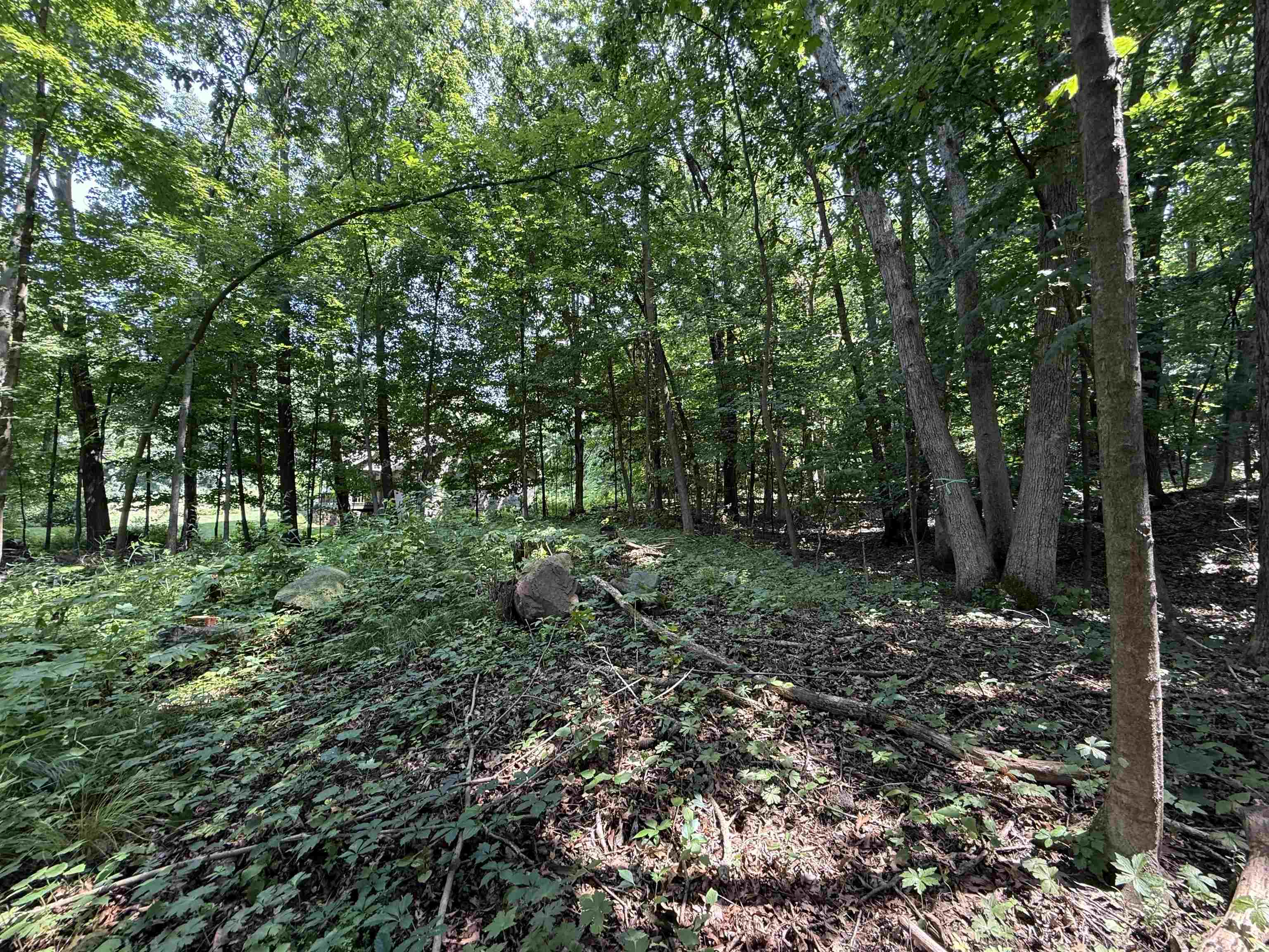 L52 Draper Street Baraboo, WI 53913 - Photo 5 of 6