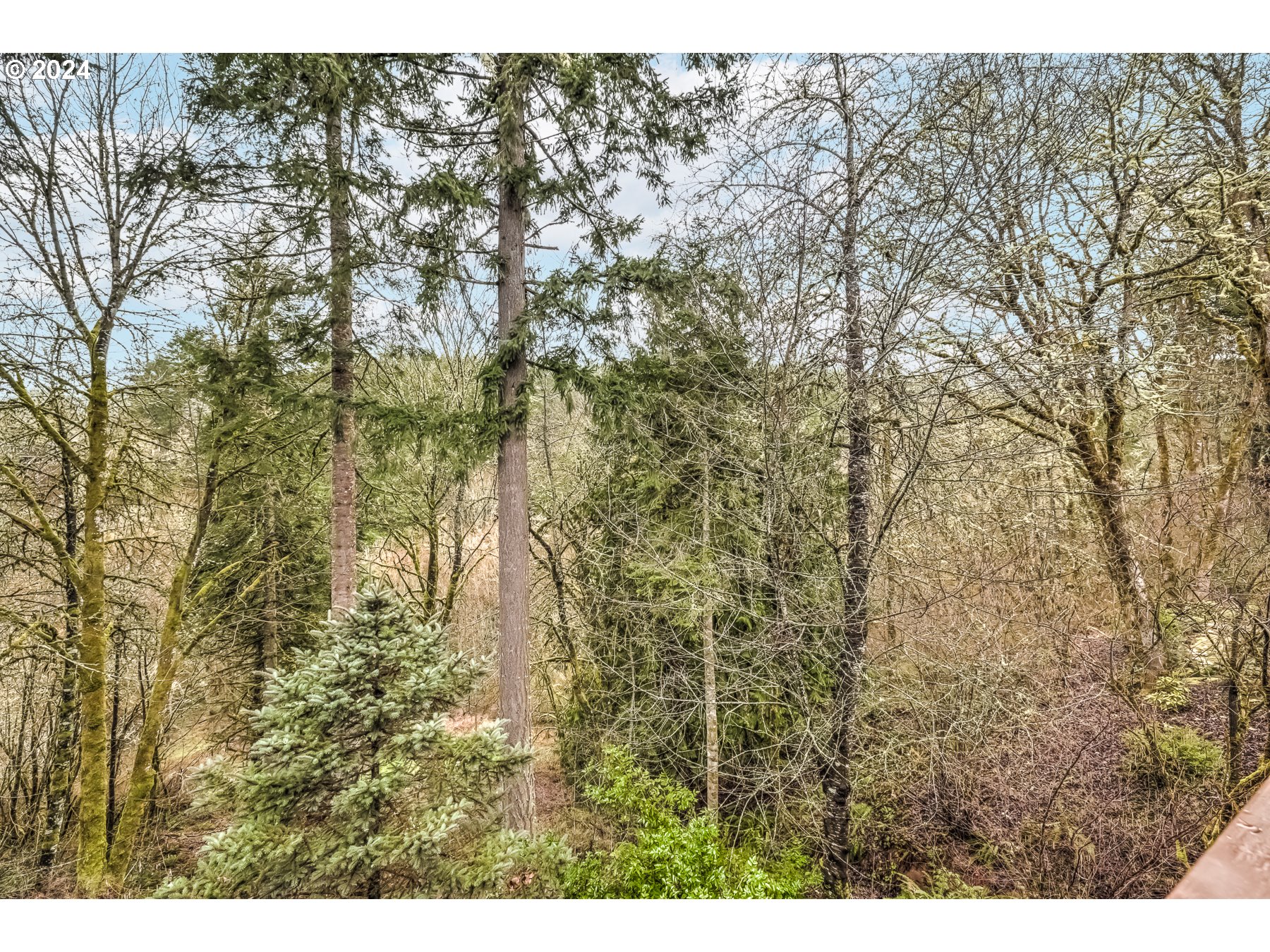 3278 Ridge Pointe Drive Forest Grove, OR 97116 - Photo 45 of 47