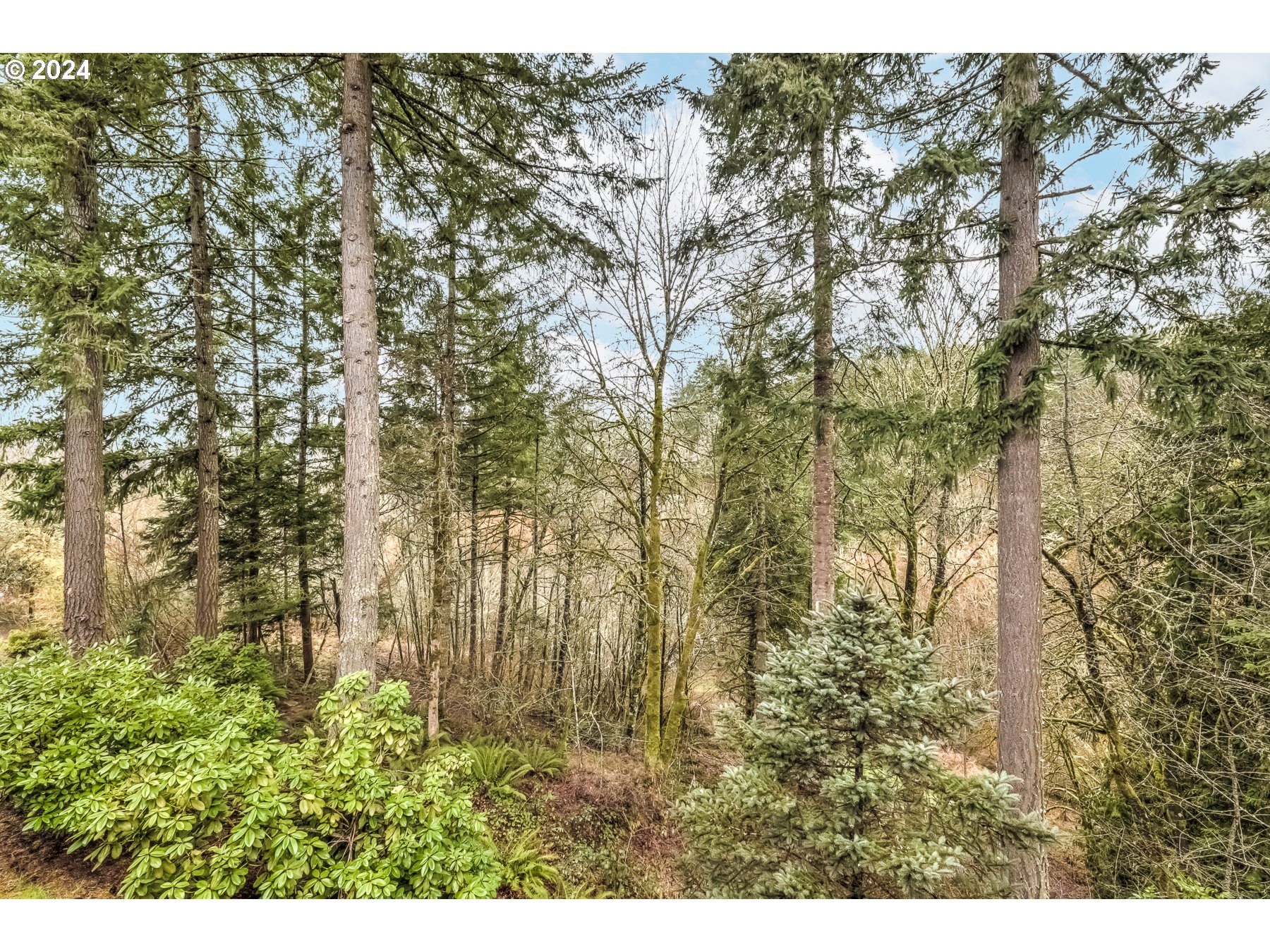 3278 Ridge Pointe Drive Forest Grove, OR 97116 - Photo 46 of 47