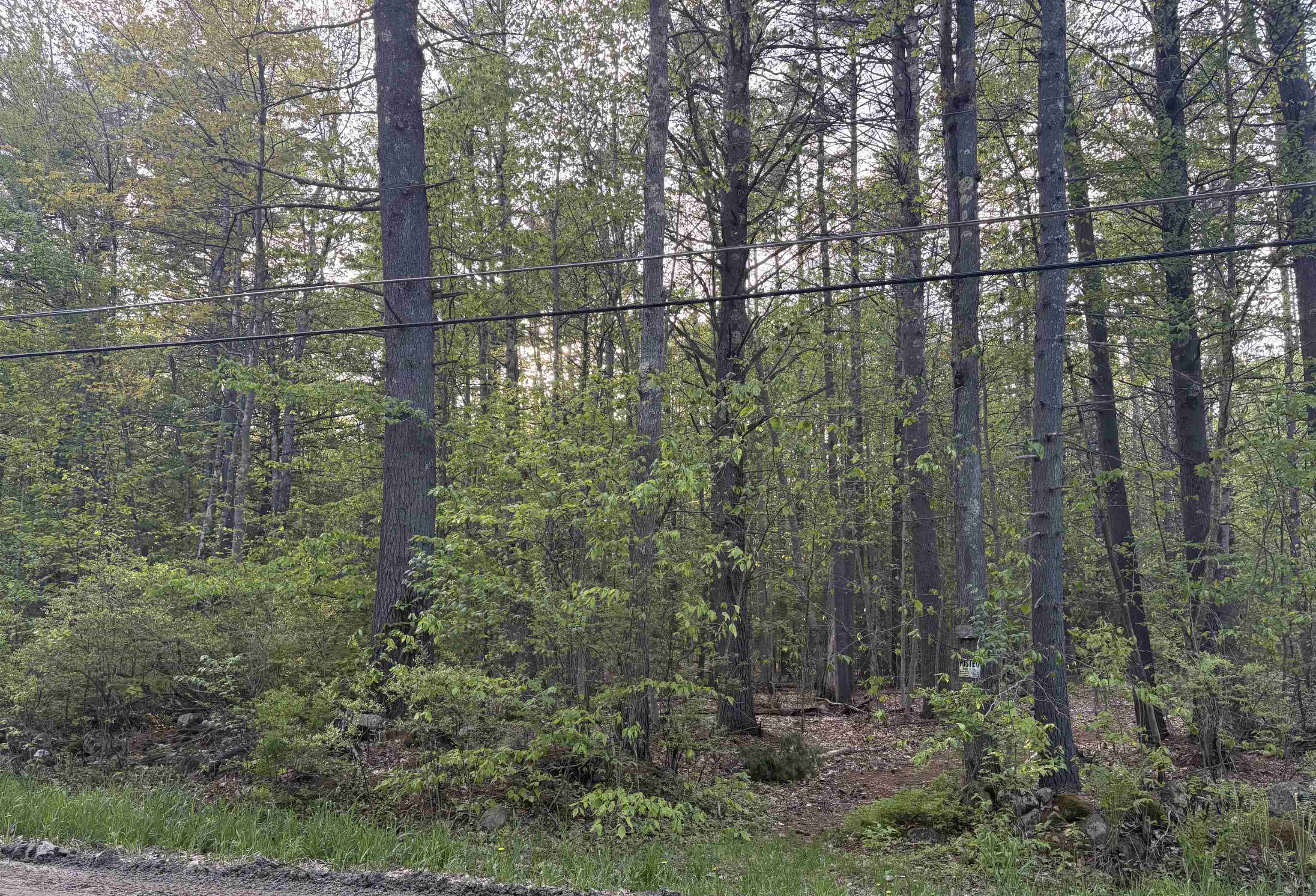 Lot 80 Currier Road Candia, NH 03034 - Photo 3 of 22 Gallery Image 3