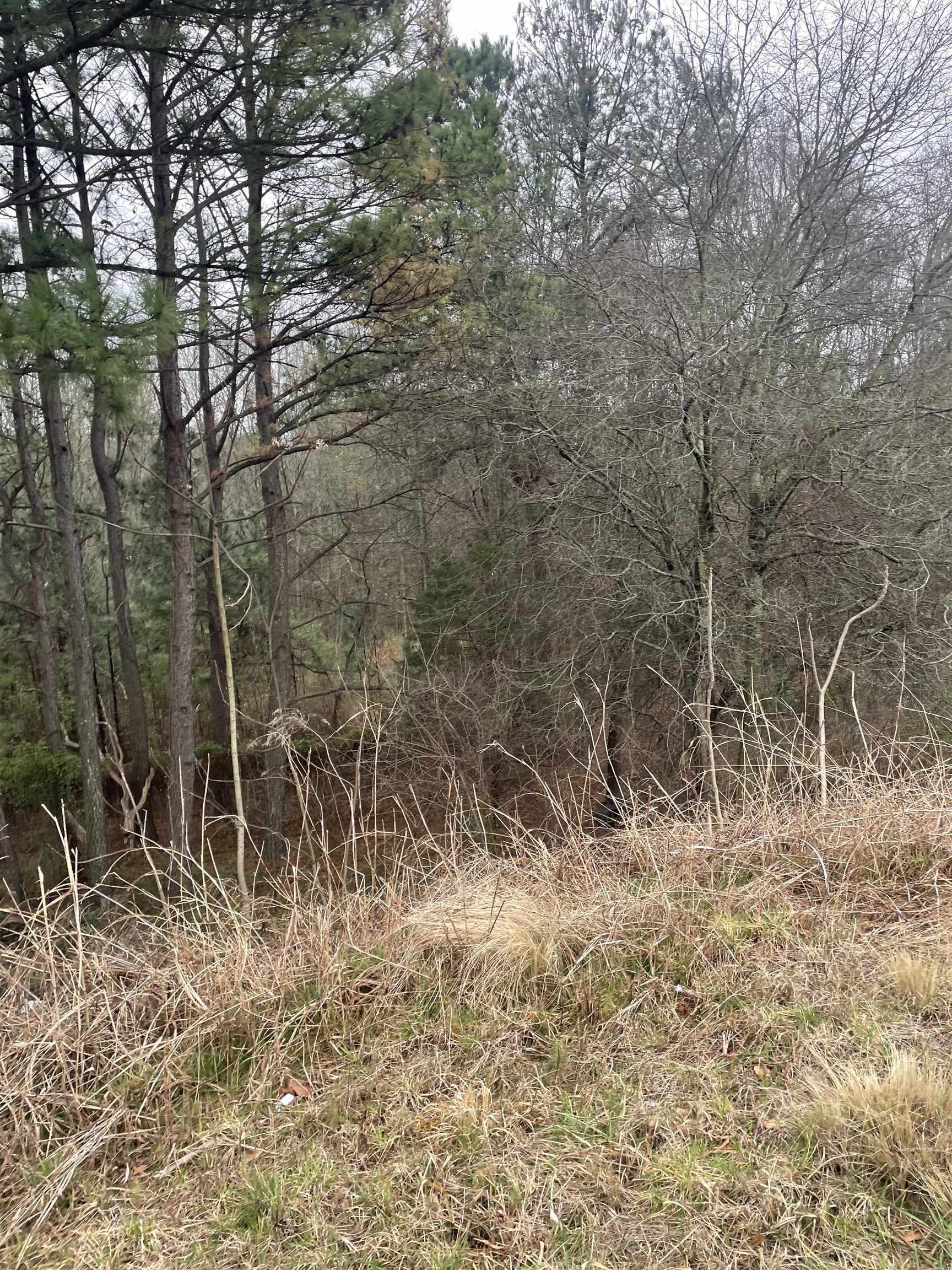 0 West Blackstock Road Spartanburg, SC 29303 - Photo 2 of 5