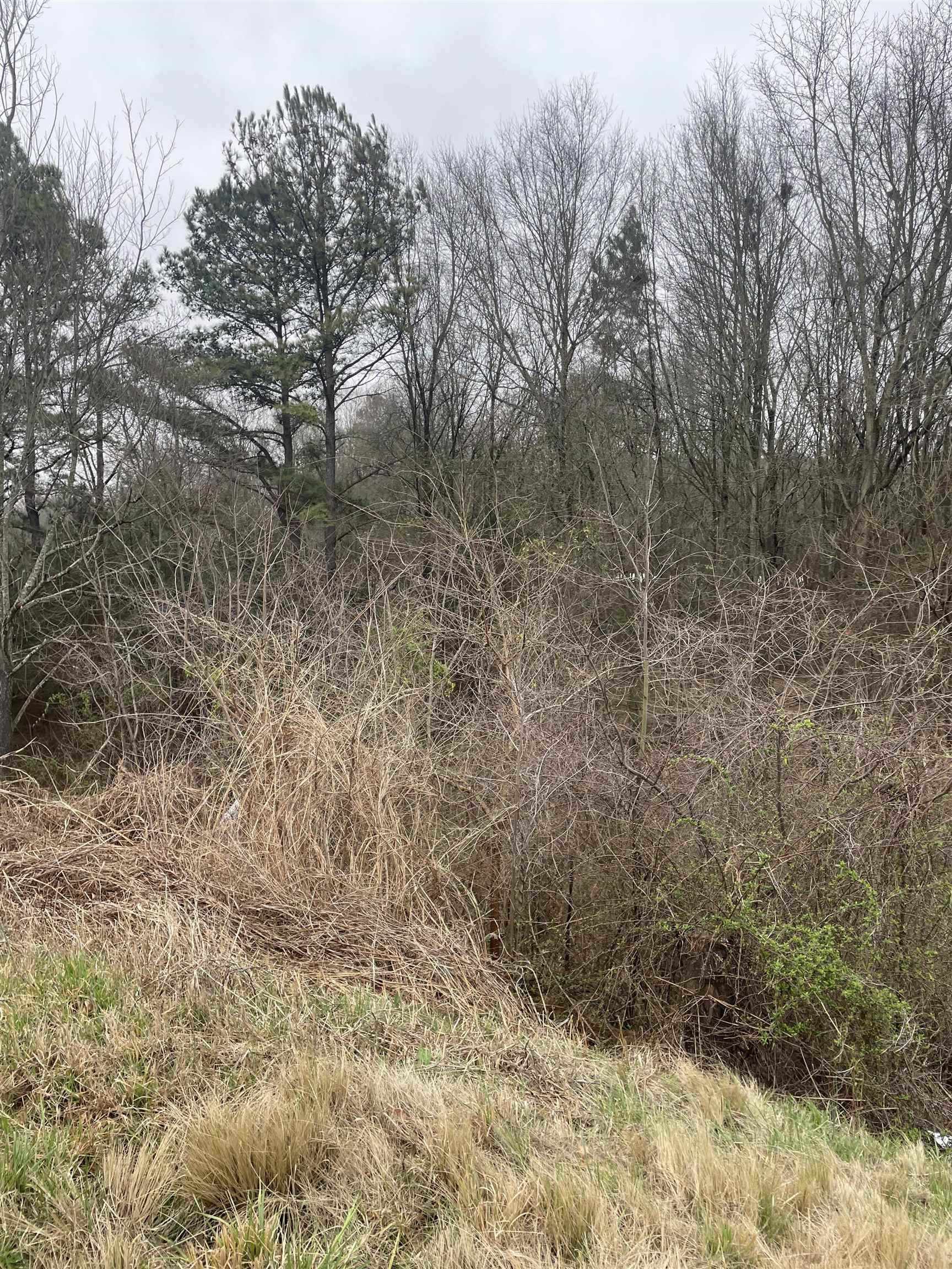 0 West Blackstock Road Spartanburg, SC 29303 - Photo 5 of 5