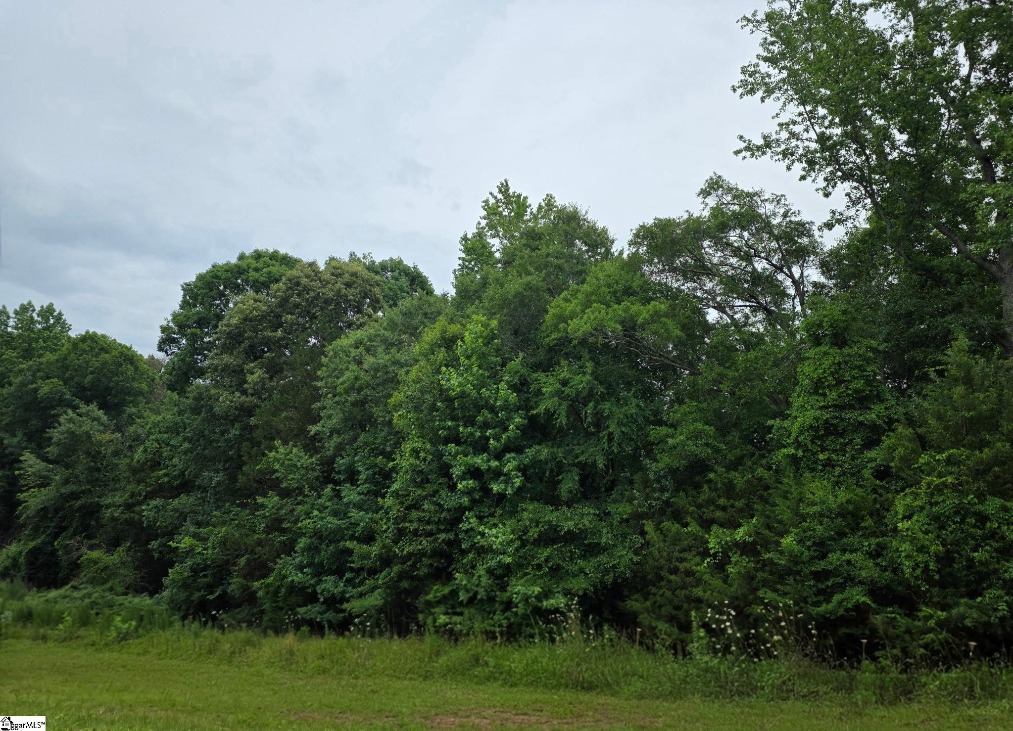 0 Chastain Drive Pelzer, SC 29669 - Photo 2 of 9