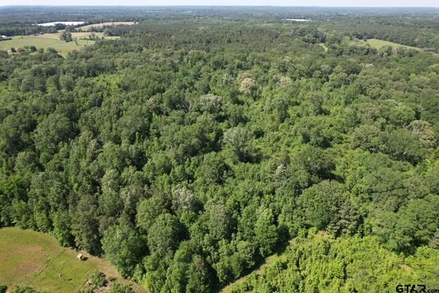 an aerial view of residential houses with outdoor space and trees