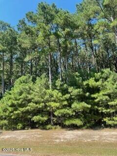 449 Riversound Drive Edenton, NC 27932 - Photo 7 of 12 RS449-6