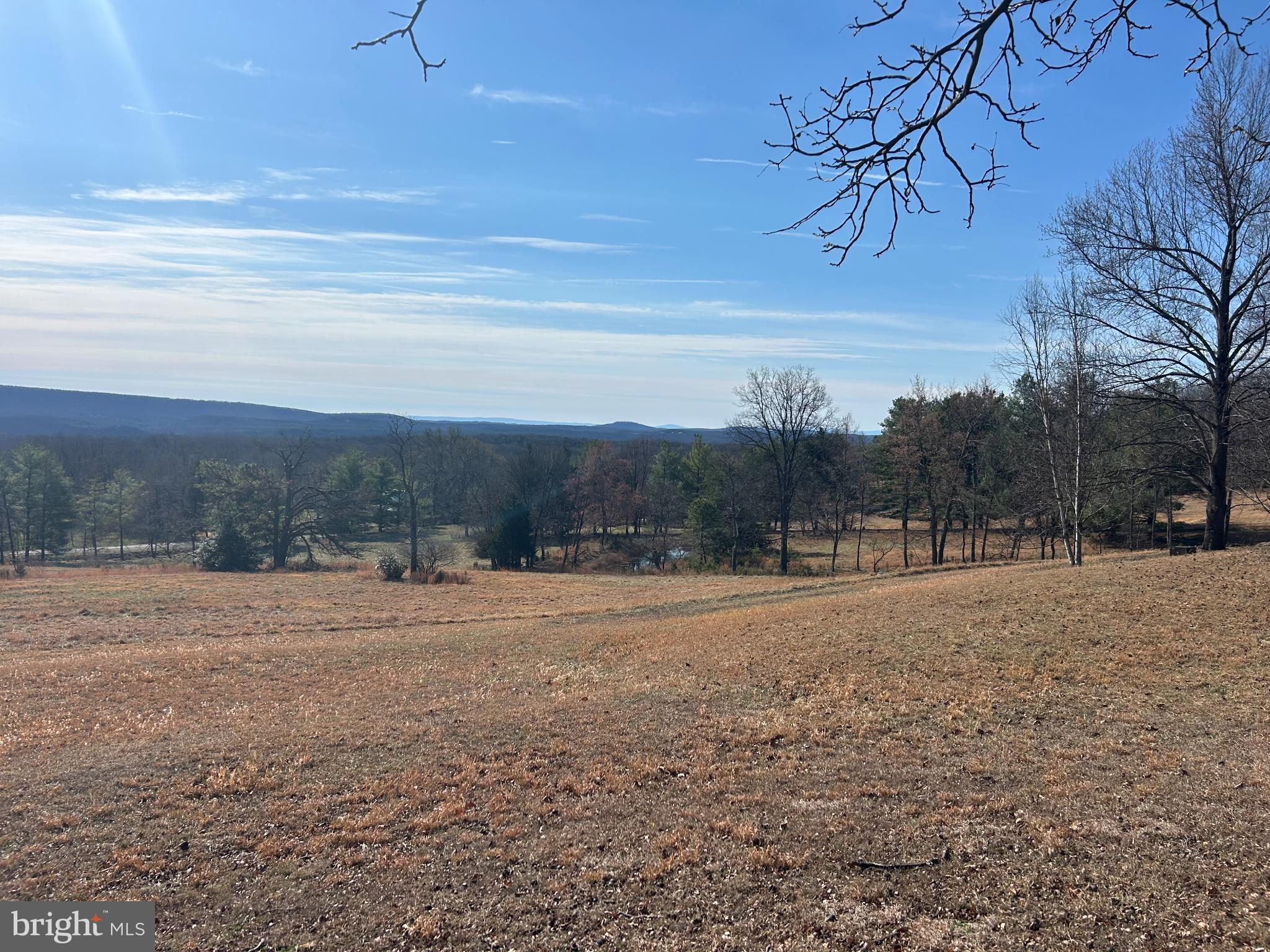 777 Glengary Road Winchester, VA 22603 - Photo 3 of 3 a view of dirt field with trees