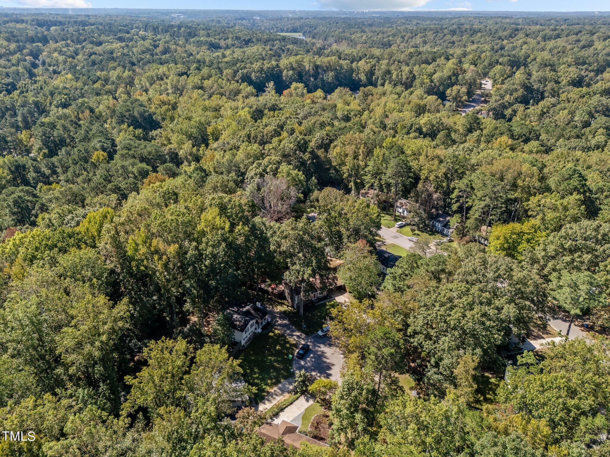 1104 Terrace Court Raleigh, NC 27615 - Photo 39 of 39 an aerial view of a house with a lush green forest