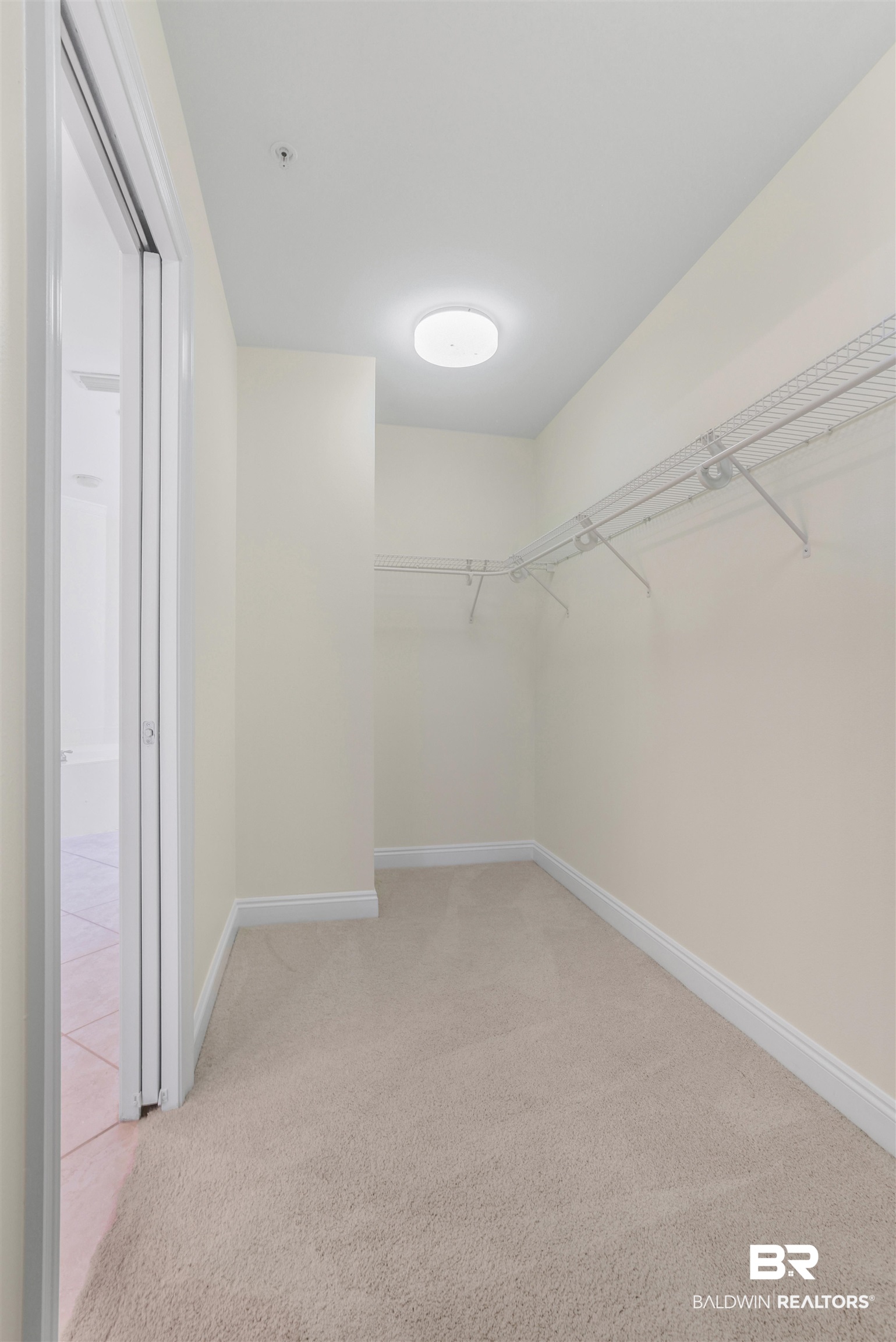 28250 Canal Road, Unit 106 Orange Beach, AL 36561 - Photo 17 of 50 Walk in closet featuring light colored carpet