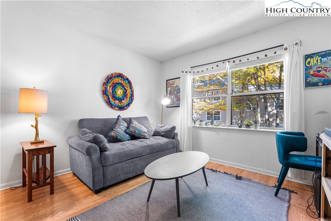 229 East King Street, Unit 17 Boone, NC 28607 - Photo 11 of 22 a living room with furniture and a lamp