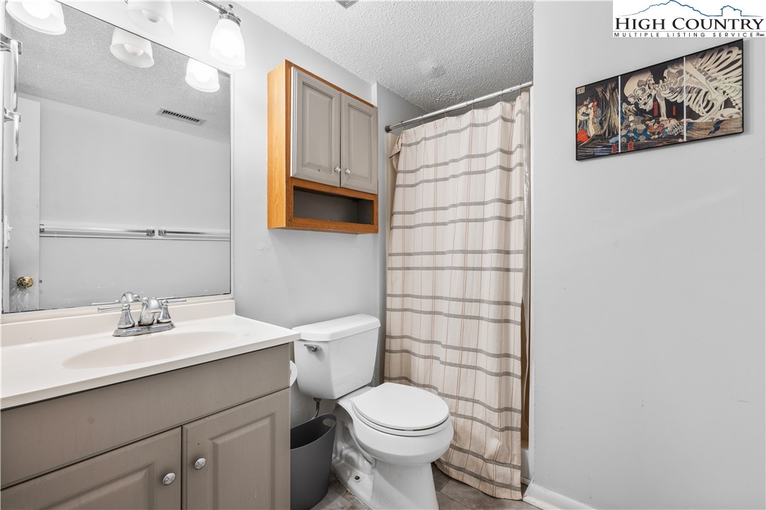 229 East King Street, Unit 17 Boone, NC 28607 - Photo 17 of 22 a bathroom with a sink toilet and shower