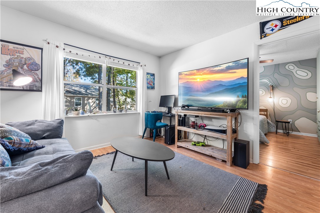 229 East King Street, Unit 17 Boone, NC 28607 - Photo 10 of 22 a living room with furniture and a flat screen tv