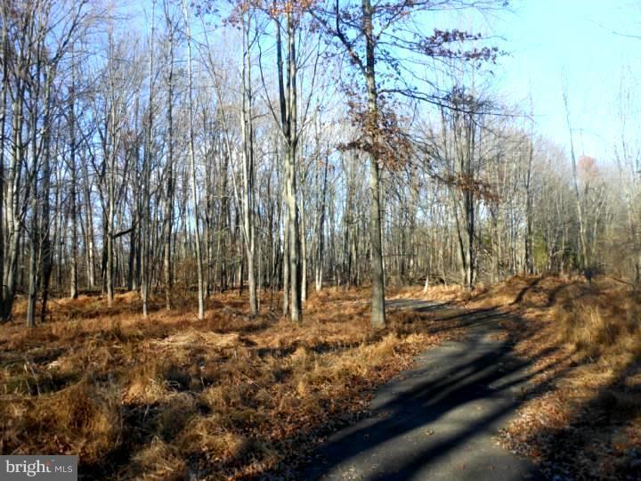 7219 Ferry Road New Hope, PA 18938 - Photo 11 of 13
